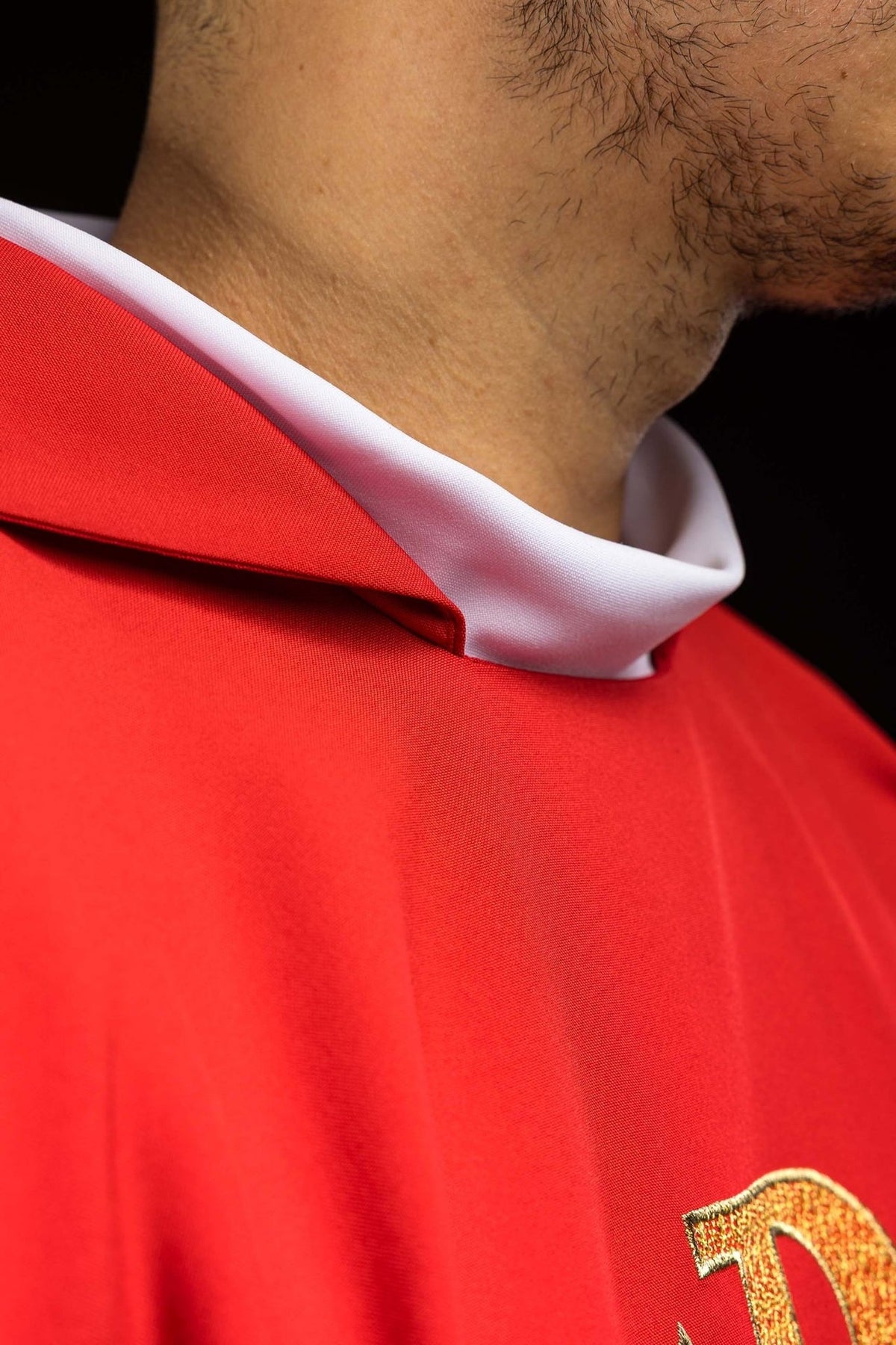 Red chasuble close-up showing wide collar and gold trim