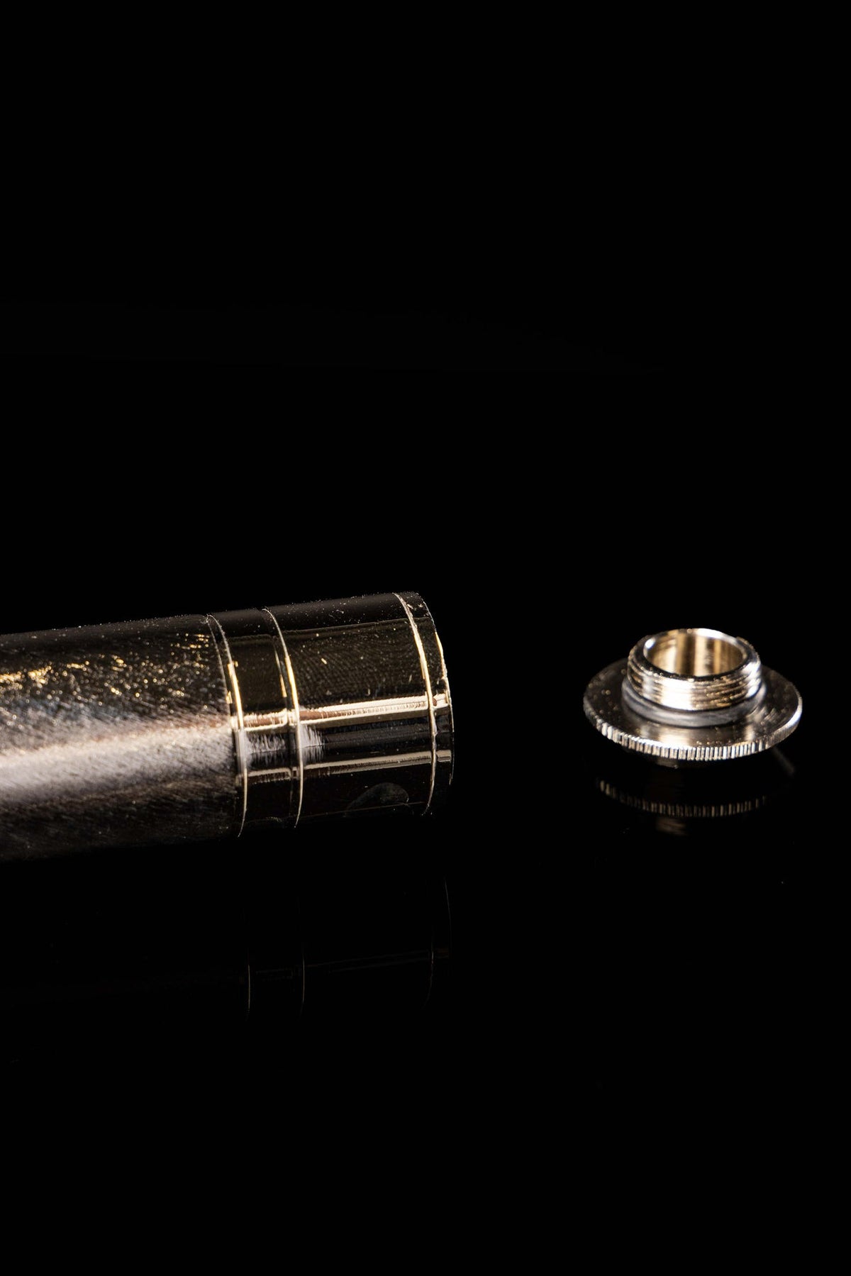 Large Metal Aspergillum