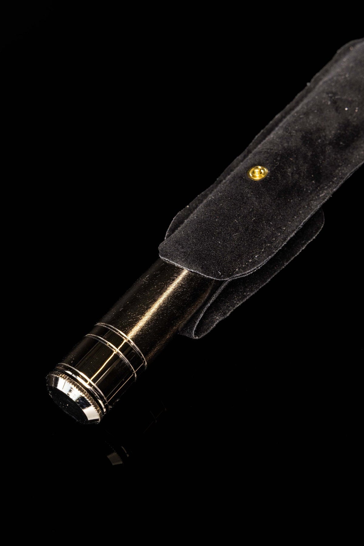 Metal Aspergillum with Case